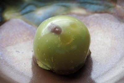 白藤屋菓子舗