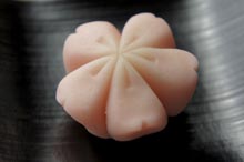 白藤屋 初花 -はつはな- 白藤屋 和菓子 まんじゅう 初花